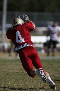 开云体育登陆入口-国王后场火力猛但防守端问题依旧，国王防守怎么样